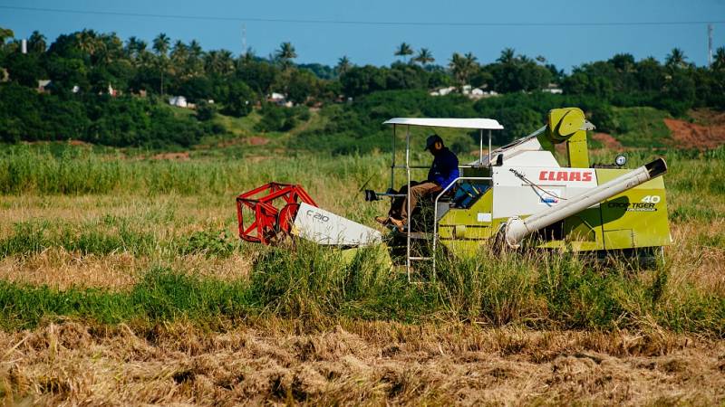 A Microscopic Look At China's Agricultural Industries